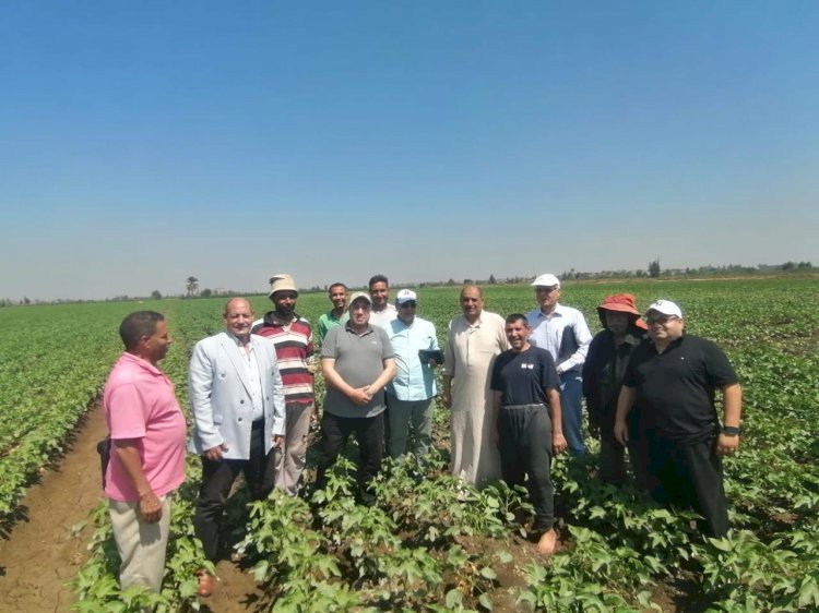 "الزراعة" تتابع زراعات القطن وتقدم الدعم الفني للمزارعين بالدقهلية