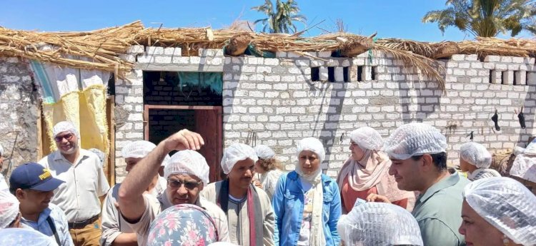 "الزراعة" تنظم دورتين تدريبيتين لتعزيز الأمن الحيوي في حظائر الماشية بمحافظتين