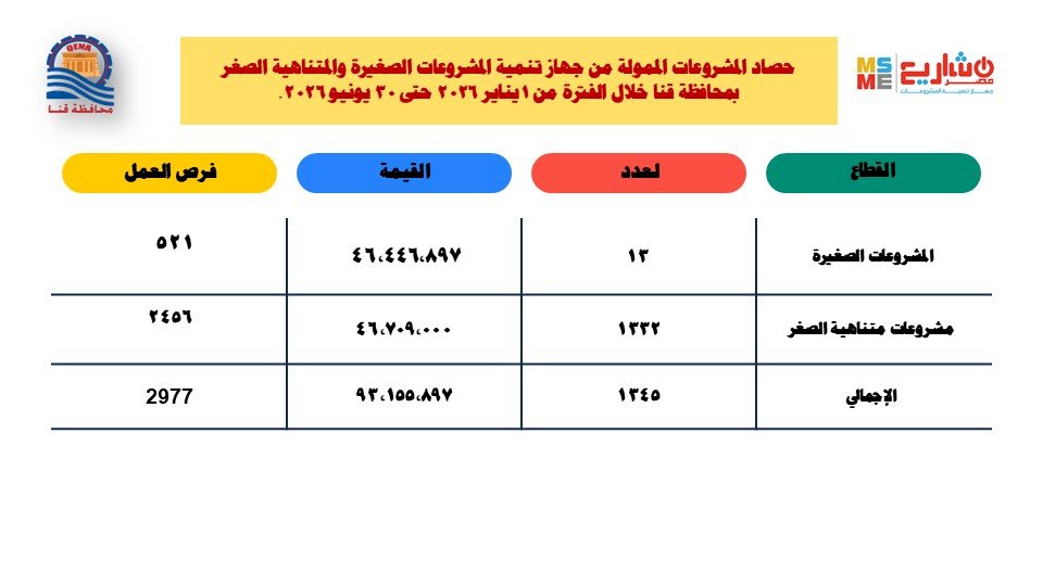 93 مليون جنيه لتمويل مشروعات صغيرة ومتناهية الصغر في 6 شهور بقنا