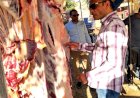 ضبط 55 كيلو لحوم غير صالحة للاستهلاك الآدمي بسوهاج