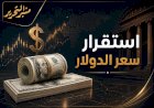 استقرار سعر الدولار اليوم السبت 18 يوليو 2026