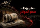 سعر الدولار اليوم الأربعاء 22 يوليو 2026