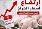ارتفاع في أسعار الفراخ اليوم السبت 5 سبتمبر 2026