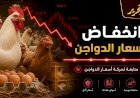 انخفاض أسعار الفراخ الثلاثاء 21 يوليو يوليو 2026