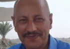 مجموعة الكلبة القصصية .. أحدث اصدارات  محمد عبدالقادر التوني