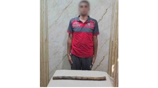 ضبط عاطل لقيامه بالتعدى بالضرب على كلب بعصا خشبية مما أدى لنفوقه بالغربية