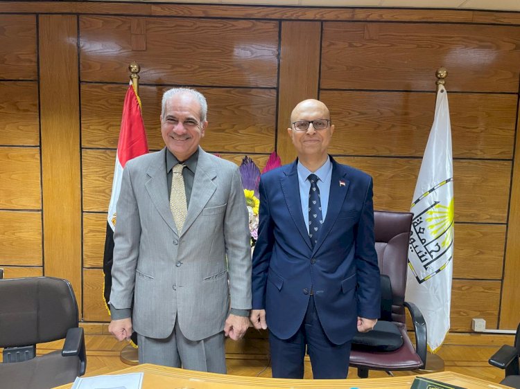 جامعة أسوان وجامعة أسيوط تفعلان برنامج الماجستير المهني والدكتوراه المهنية