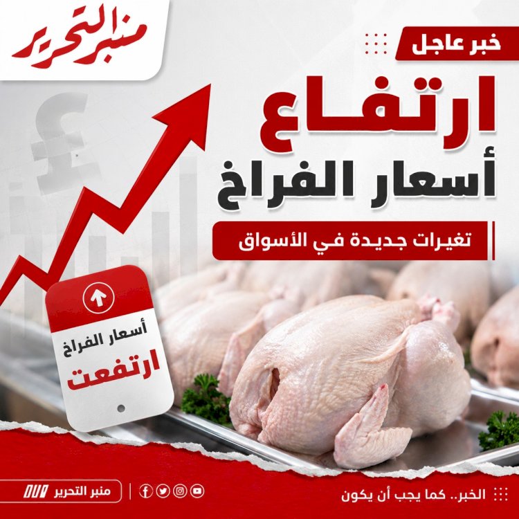 استمرار ارتفاع أسعار الفراخ اليوم الخميس 16 يوليو 2026