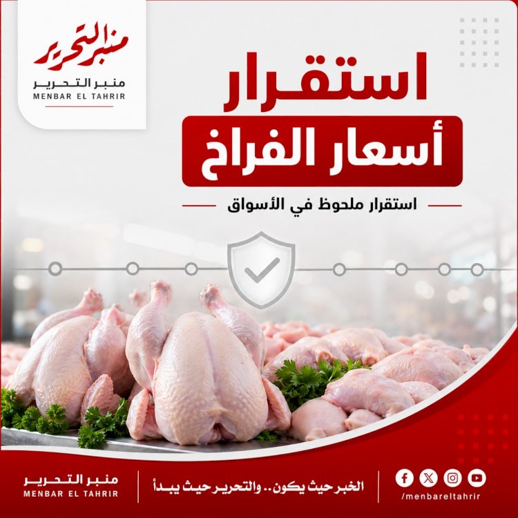 أسعار الفراخ  الأربعاء 22 يوليو 2026