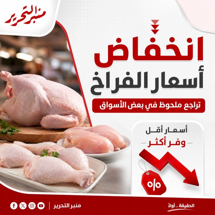 انخفاض في أسعار الفراخ اليوم السبت 18 يوليو 2026