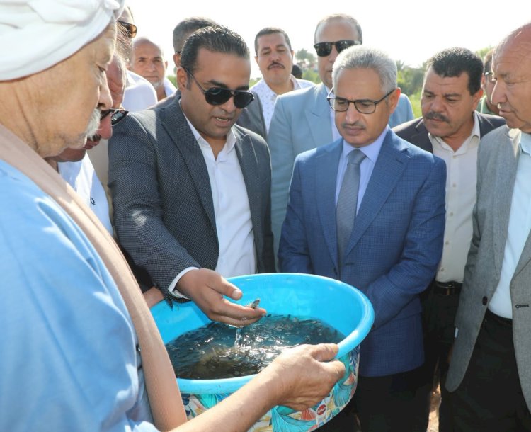 محافظ بنى سويف يشهد إلقاء دفعة من الزرّيعات ضمن مشروع الاستزراع السمكي