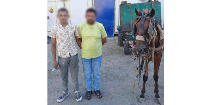 ضبط عاطلين لقيامهما بسرقة صندوق قمامة بالإسكندرية