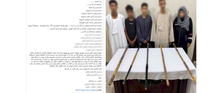 ضبط المتهمين بالتعدي بالضرب علي ربة منزل باسيوط