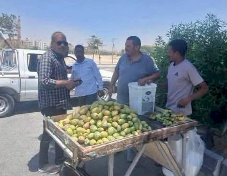 التين الشوكي والاقتصاد غير الرسمي