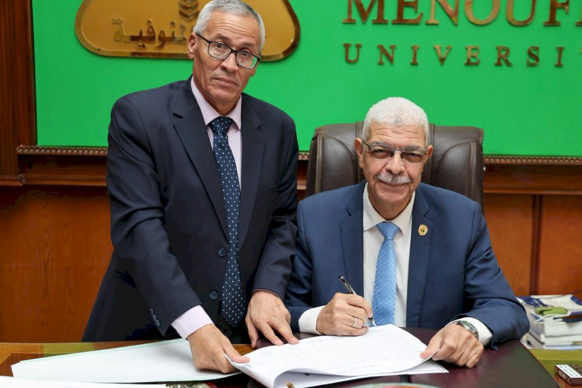 79.5% نسبة النجاح في حقوق المنوفية بدور مايو 2026