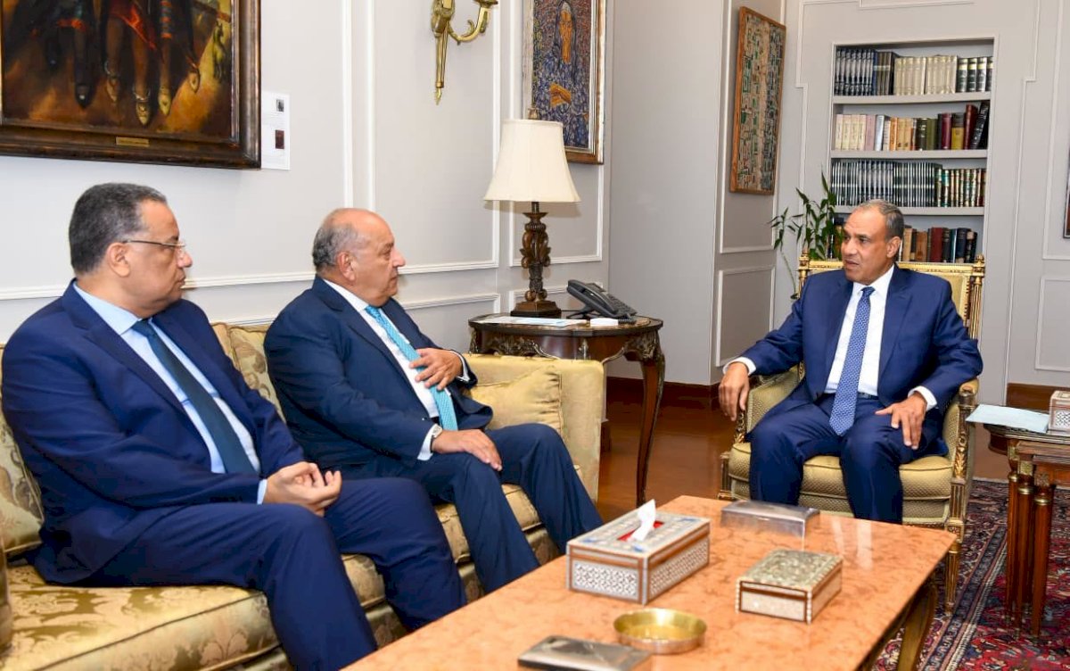 وزير الخارجية يستقبل وكيل مجلس النواب وعضو بمجلس الشيوخ