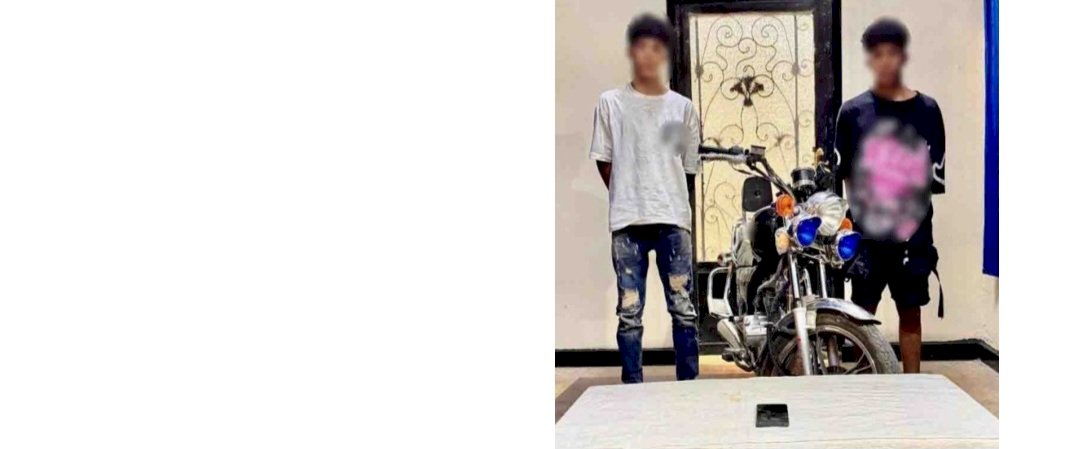 القبض علي عاطلين لقيامهما بسرقة محمول عامل باسوان