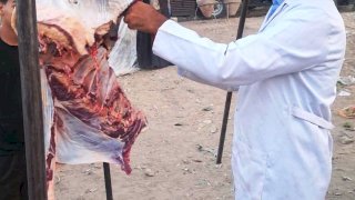 ضبط لحوم غير صالحة للاستهلاك الآدمي بسوق الهجارسة بالكوامل بسوهاج