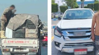 نكشف فيديو قيام سائق بالسير دون ربط حمولة السيارة بالإسكندرية