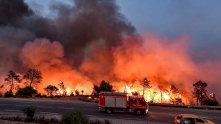 وفاة 12 شخصًا في حرائق الغابات بالجزائر