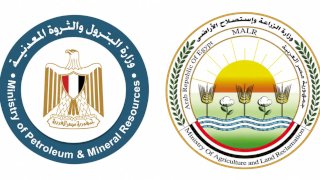 وزارتا البترول والزراعة تنفيان تقليص حصة الأسمدة المدعمة