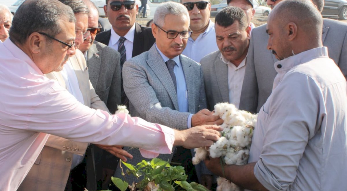 محافظ بني سويف يفتتح موسم جَني القطن داخل أحد الحقول بزمام قرية إهناسيا الخضراء