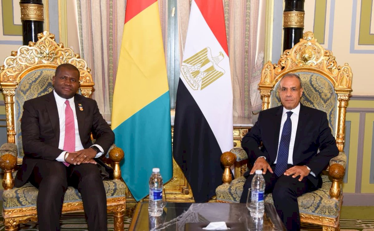 وزير الخارجية يلتقي وزير التعاون الدولي والتخطيط بجمهورية غينيا