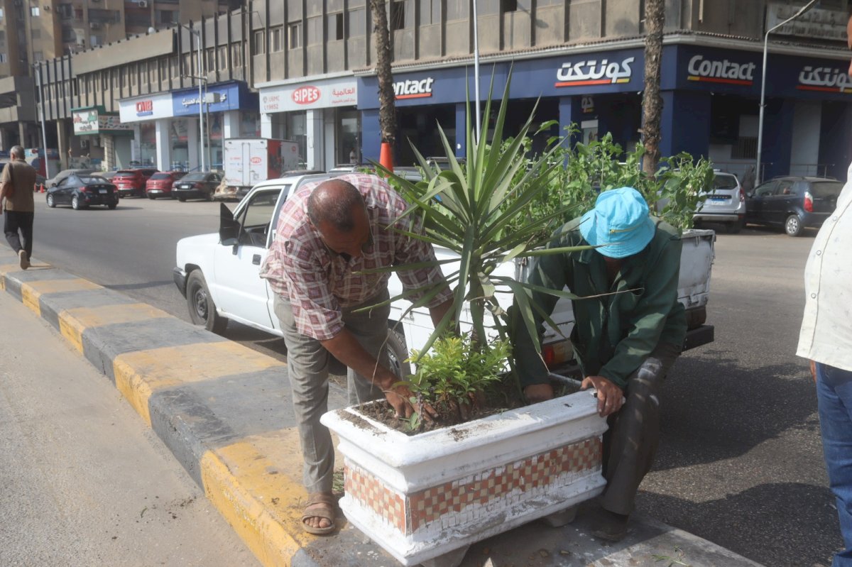مشروع اتحضر للاخضر يستكمل عمله بشوارع العجوزة