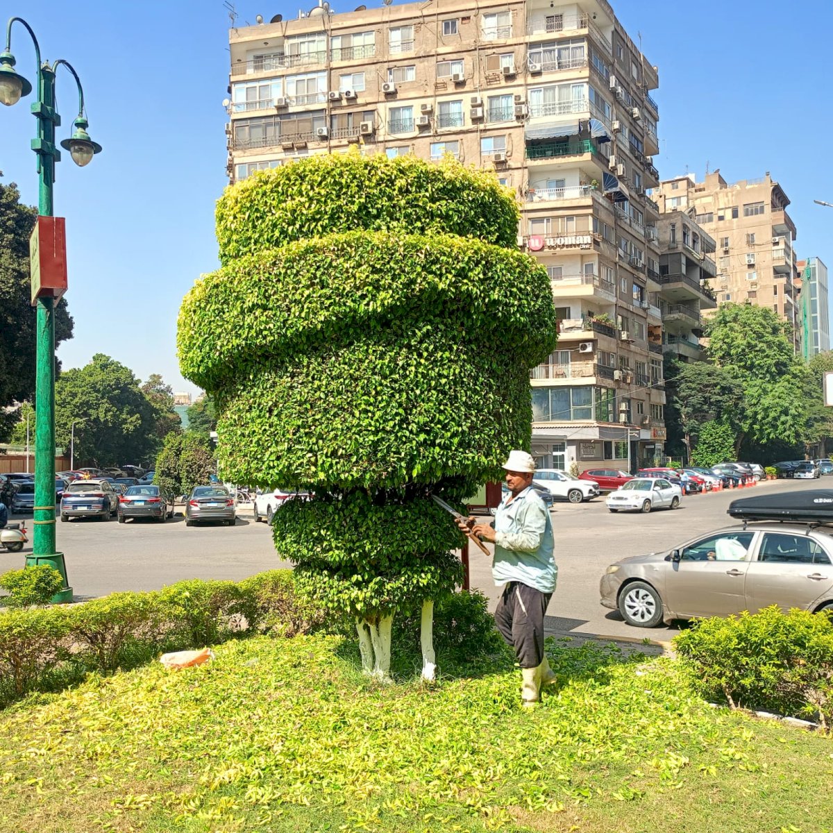 ميدان الثورة بحي الدقي يتحضر للأخضر