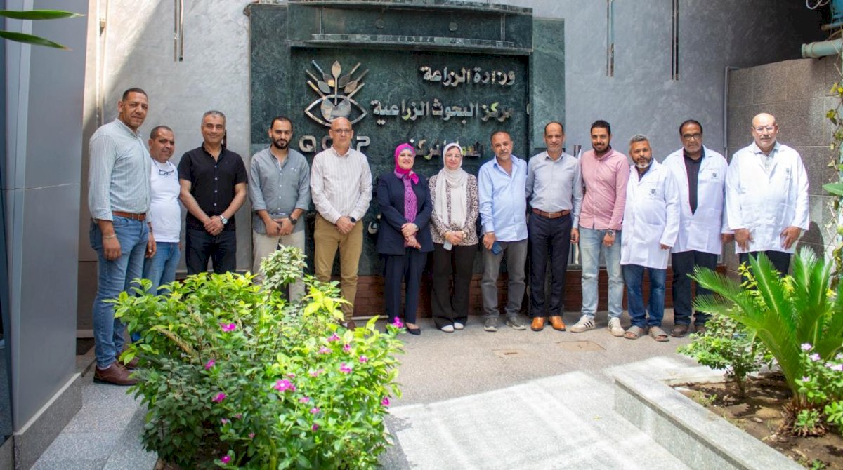 "الزراعة" تجديد الأيزو 9001 في إدارة الجودة للشؤون المالية والإدارية لمتبقيات المبيدات