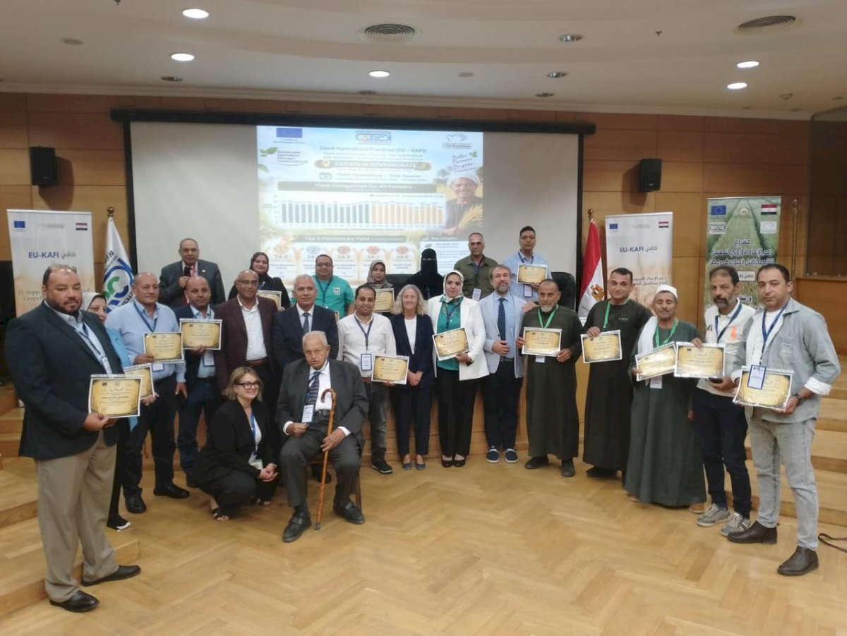 " عبدالعظيم"  يفتتح ورشة عمل مشروع «يو كافي» لاستعراض نتائج الموسم الأول لزيادة إنتاجية القمح