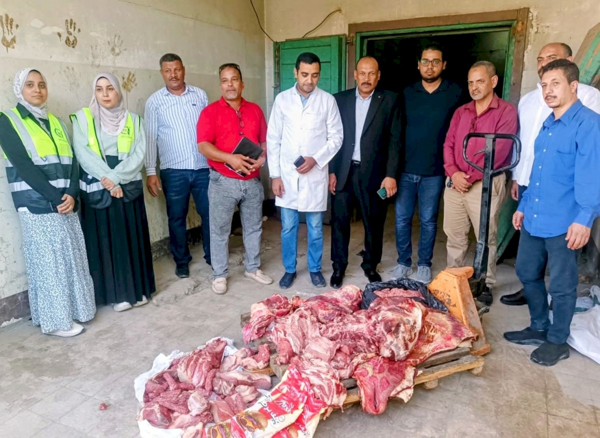 ضبط لحوم ودواجن فاسدة خلال حملات مكبرة بحي شرق سوهاج