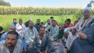 "الزراعة" تنظم برنامجاً مكثفاً لنشر ثقافة "الزراعة التعاقدية" للمحاصيل الزيتية بسوهاج