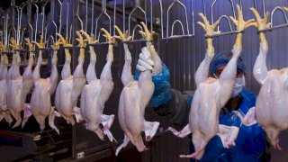 في عيد الفلاح الـ 74.. حزمة تمكين غير مسبوقة ودعم مباشر لخط الدفاع الأول عن الأمن الغذائي