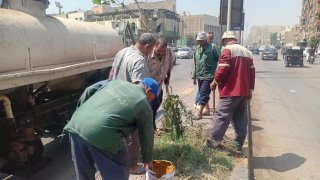 هيئة النظافة والتجميل بالجيزة : البدء في مشروع تخضير المحافظة