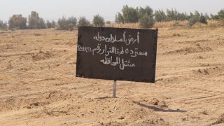 محافظ سوهاج يشهد تنفيذ إزالة التعديات على أرض المشتل بالمنشاة