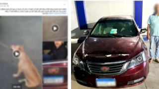 ضبط سائق لقيامه بربط كلب في السيارة وسحله بالاسكندرية