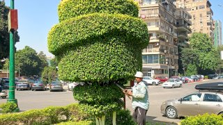 ميدان الثورة بحي الدقي يتحضر للأخضر