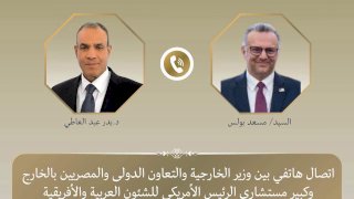 وزير الخارجية يبحث مع مسعد بولس تطورات الأوضاع الإقليمية
