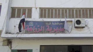 زراعة قنا: توزيع قرابة 98% من الأسمدة الأزوتية للمزارعين