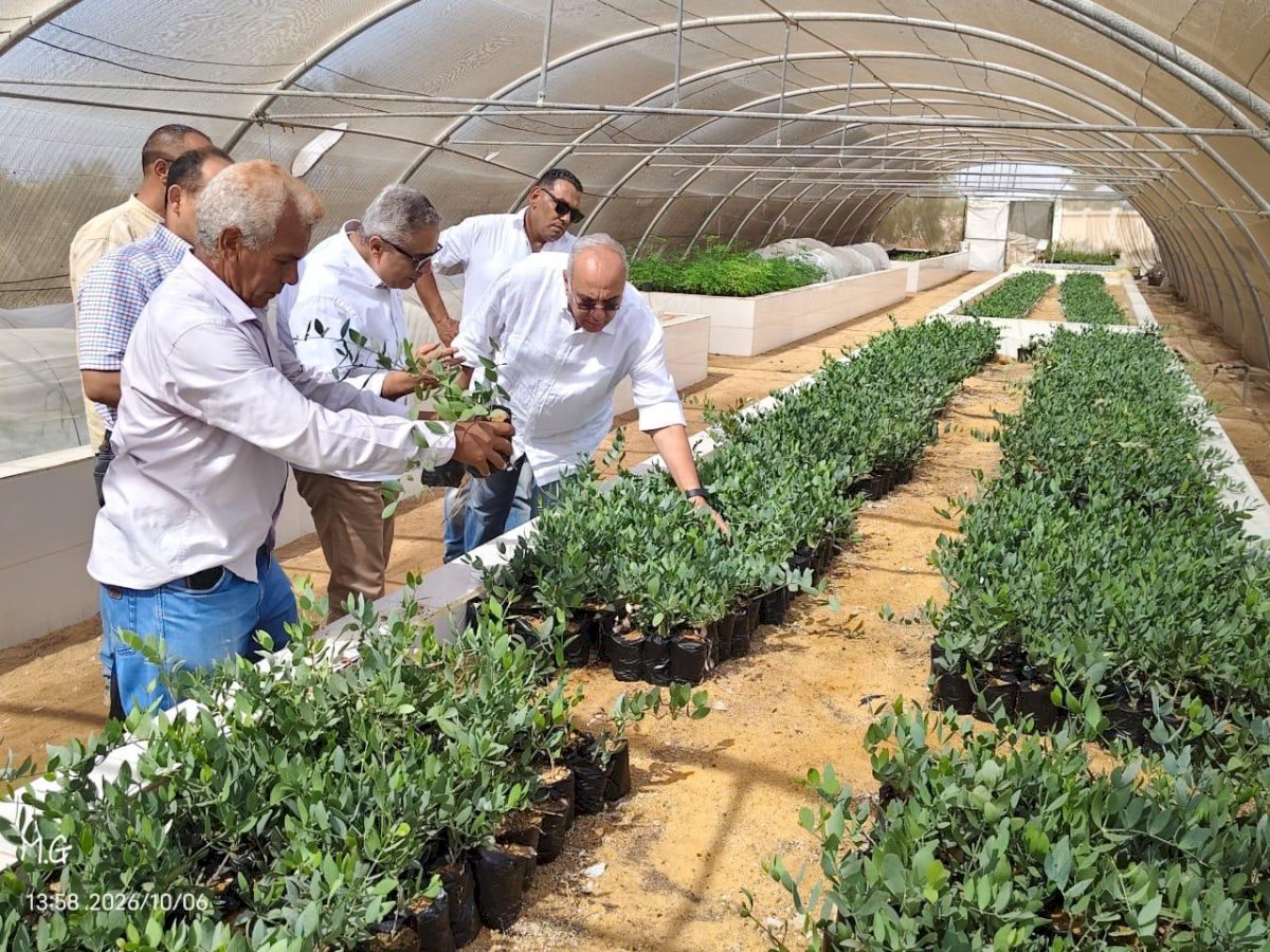 رئيس بحوث الصحراء يتفقد أنشطة مركز التنمية المستدامة لموارد جنوب سيناء برأس سدر