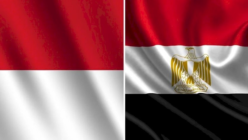 مصروإندونيسيا تؤكدان رفضهما لتهجير الشعب الفلسطيني.. واتفاق على التعاون الاستراتيجي