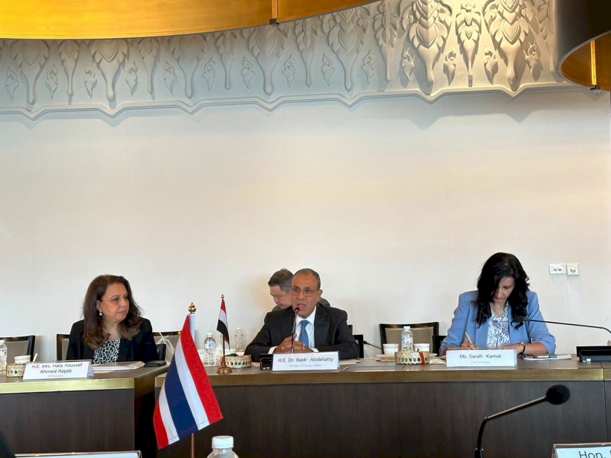 وزير الخارجية يلتقي رئيس مجموعة الصداقة البرلمانية التايلاندية–المصرية