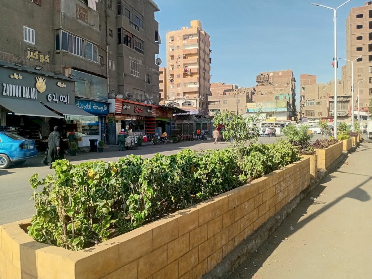 اتحضر للأخضر تزرع أحواض الزهور بحي امبابه.