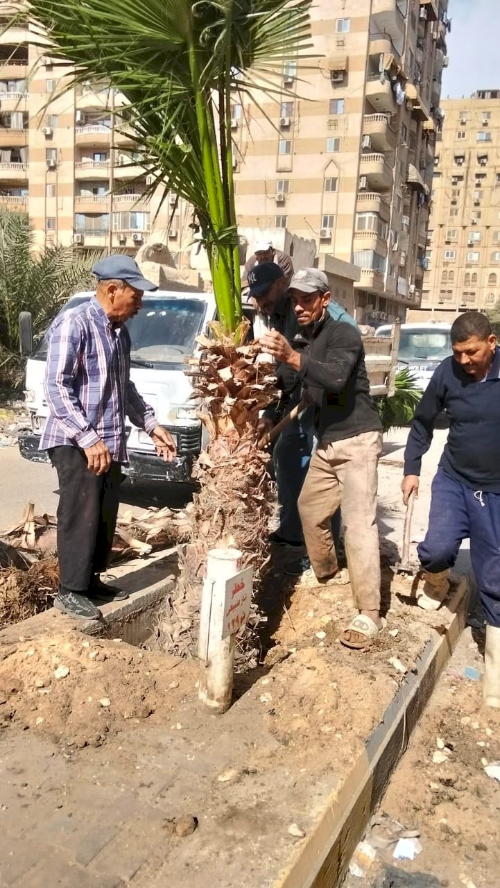 جهود حملة اتحضر للأخضر في الجيزة