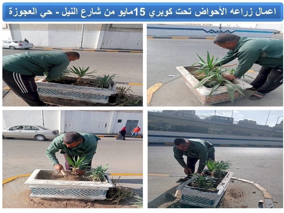 ناهد العسقلاني : قمنا بتحويل مكان قمامة إلي أحواض للزهور بالجيزة