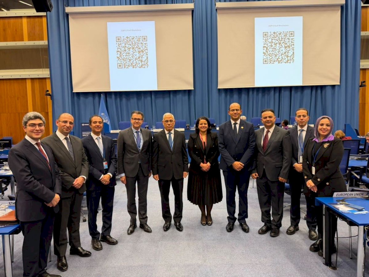 مصر تنجح في اعتماد قرار بالإجماع لمكافحة الاتجار غير المشروع بالممتلكات الثقافية