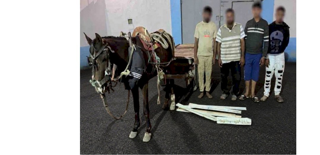 النيابة تتولي التحقيق في فيديو سرقة مهمات السكك الحديدية بالشرقية