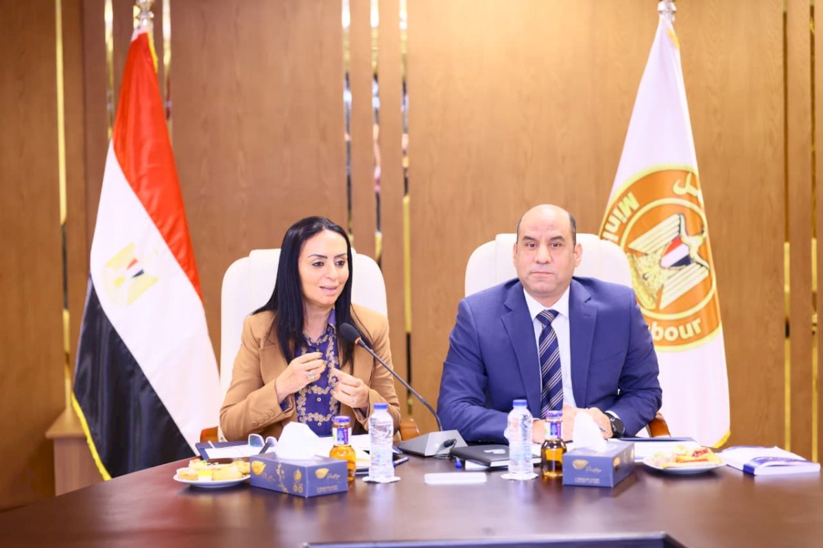 "مايا وجبران" يرأسان "لجنة الحماية الاجتماعية والتمكين الاقتصادي ورعاية العمالة غير المنتظمة"