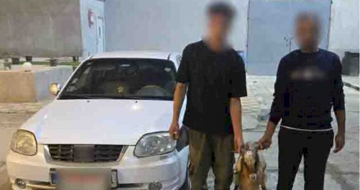 نكشف فيديو سرقة الأغنام بشمال سيناء